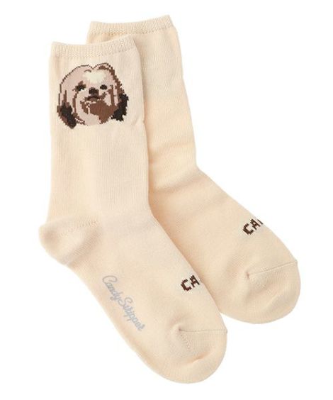 FUNNY PUPPY SOCKS | Candy Stripper（キャンディ ストリッパー