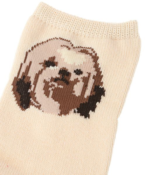 FUNNY PUPPY SOCKS | Candy Stripper（キャンディ ストリッパー 