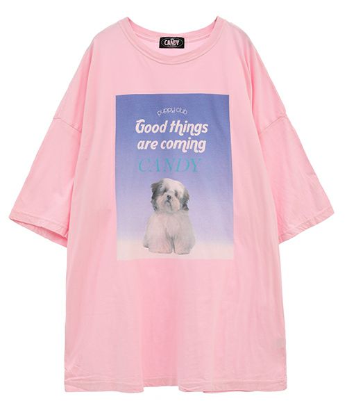 犬が可愛い★キャンディストリッパー スウェット トレーナー パステルピンク XL 犬が可愛い☆キャンディストリッパー スウェット トレーナー
