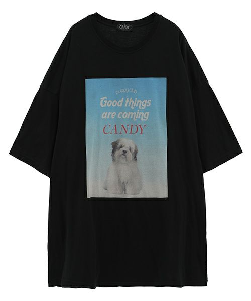 GOOD PUPPY BIG BIG TEE | Candy Stripper（キャンディ