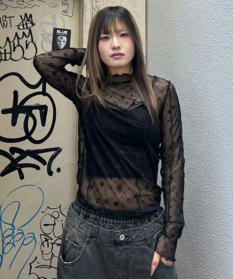 ☆☆☆ SHEER TOPS
