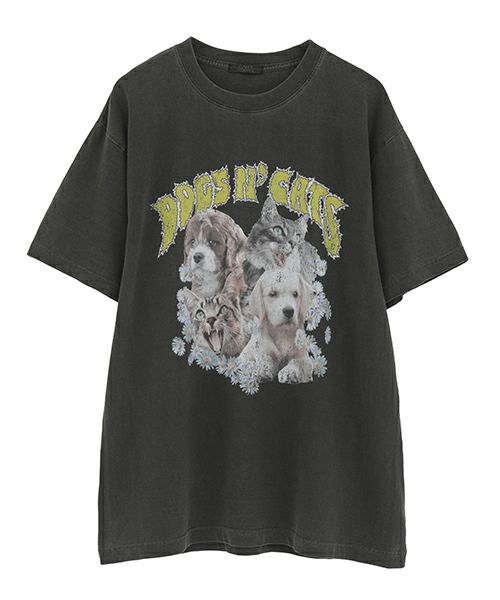 T-SHIRT |Candy Stripper（キャンディ ストリッパー